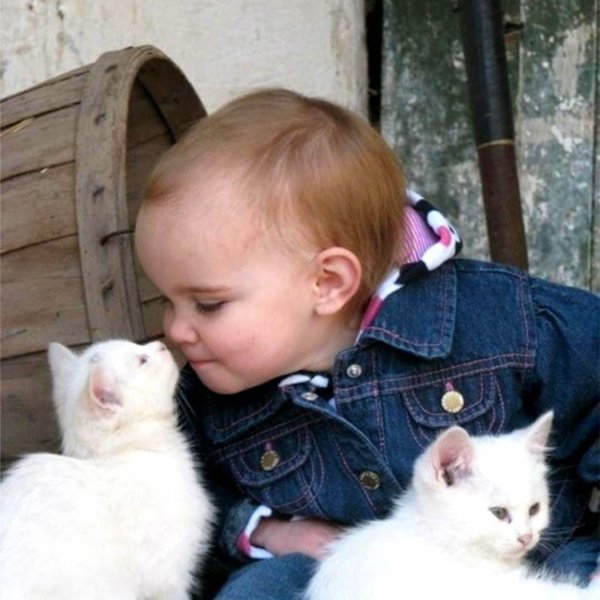 мальчик с котенком