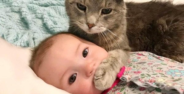 ребенок с котом