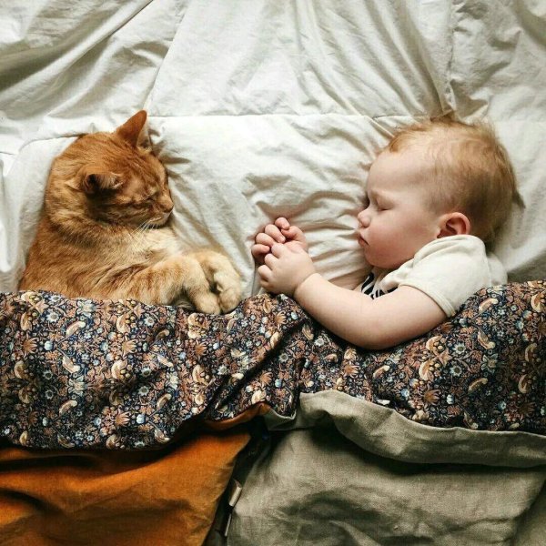 ребенок с кошкой