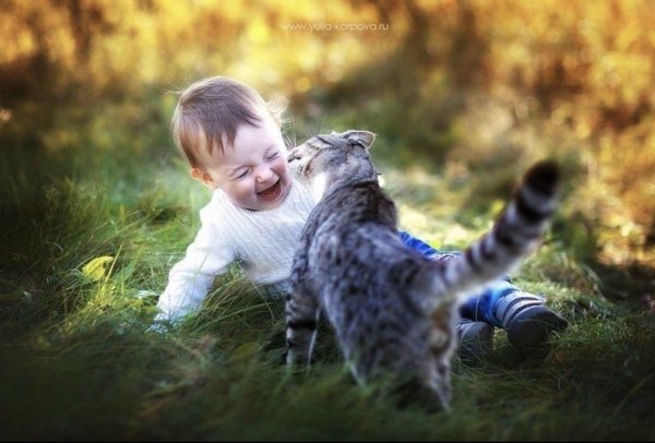 дети животные