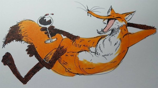 смешные лисички