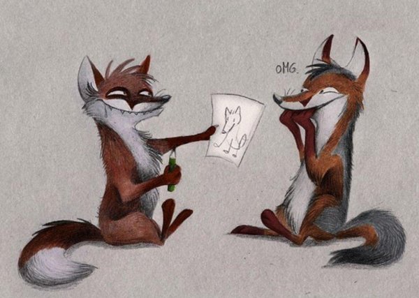 лисы кульпео фокс