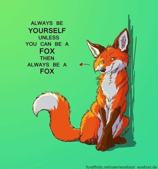 цитаты с лисами