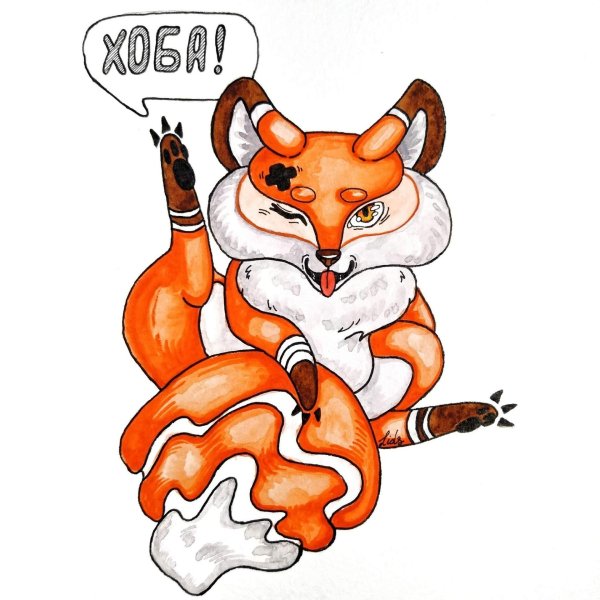 прикольные рисунки лисы