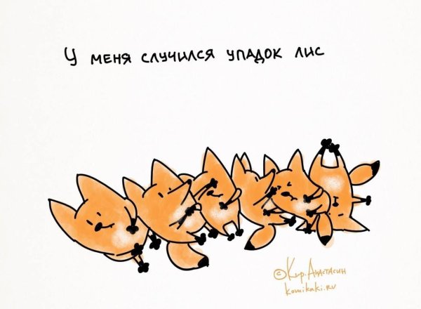 шутки про лису