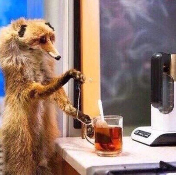 упоротый лис