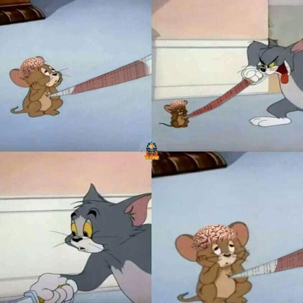 том и джерри кот