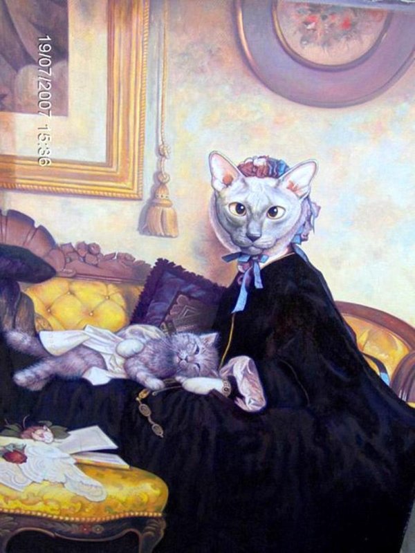 кошка графиня картина