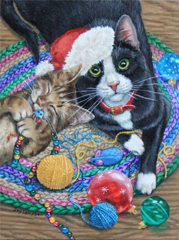 джой кэмпбелл