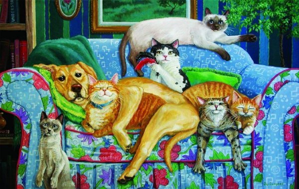 панна сюжеты с котами