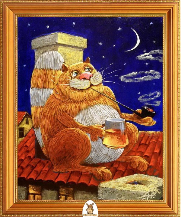 кот картина