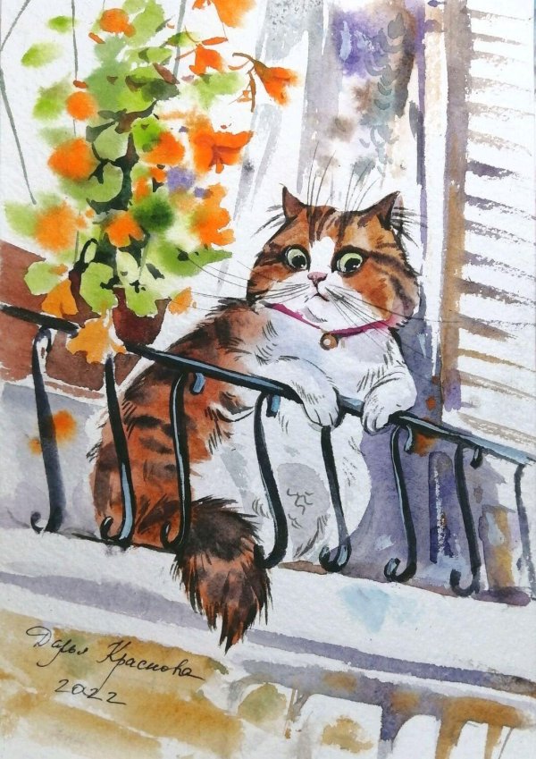 дарья краснова иллюстрации