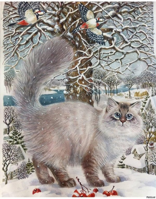 зимние коты