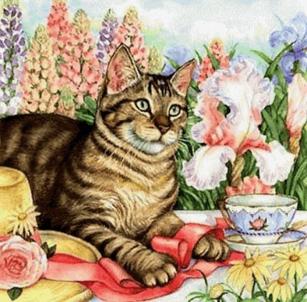 иллюстрация кот