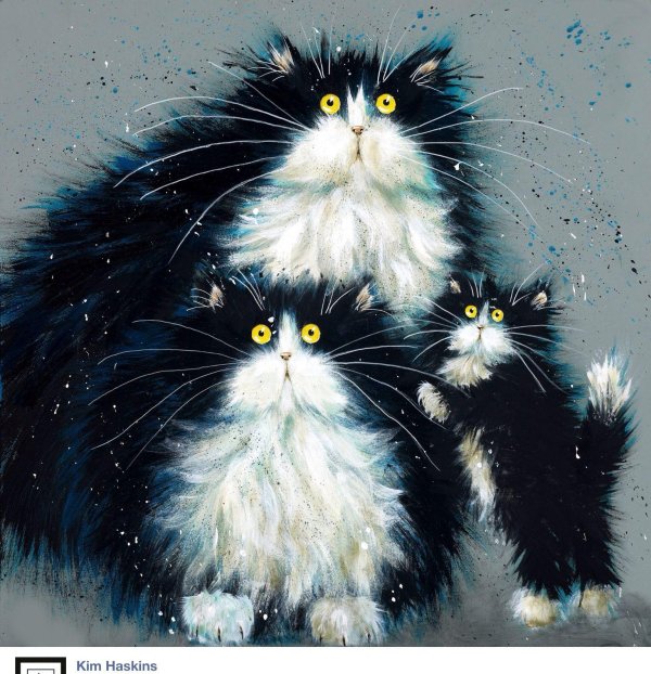 ким хаскинс