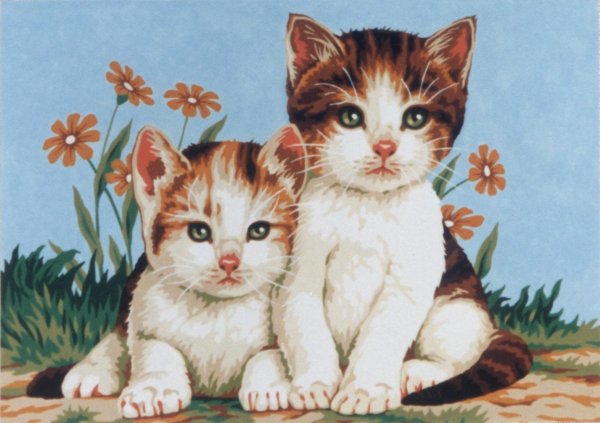 котëнок рисунок