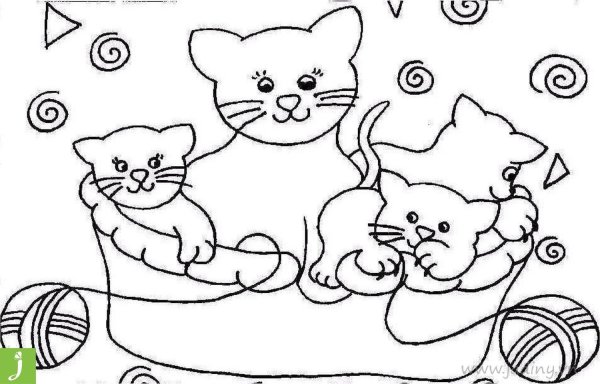 раскраска котик