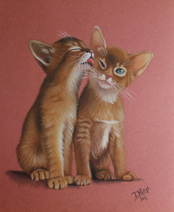 влюбленные коты рисунки