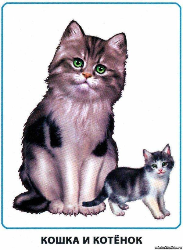 обучающие карточки