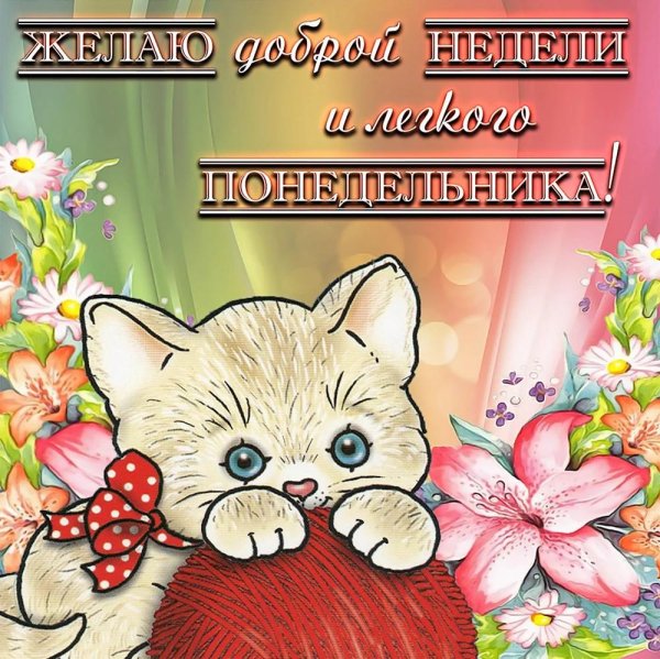 доброго понедельника