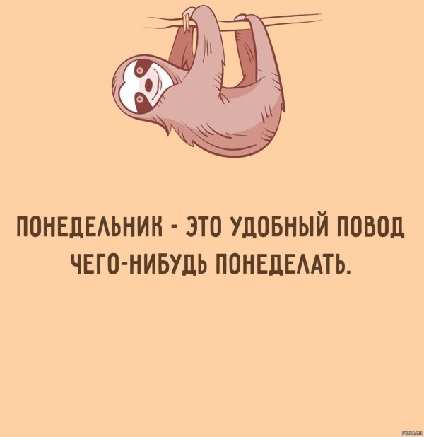 ленивец ленится