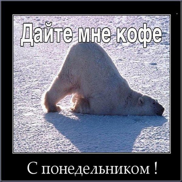 северные животные