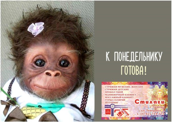 обезьянка с бантиком