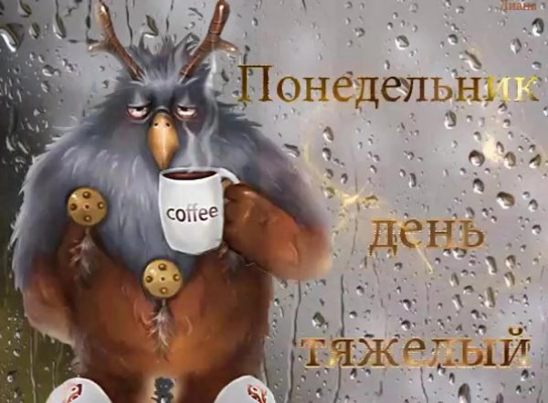 открытки с добрым утром прикольные