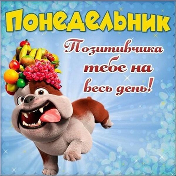 открытка понедельник доброе утро прикольная