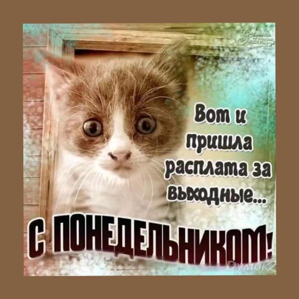 доброго утра понедельника прикольные