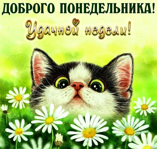 понедельник доброе