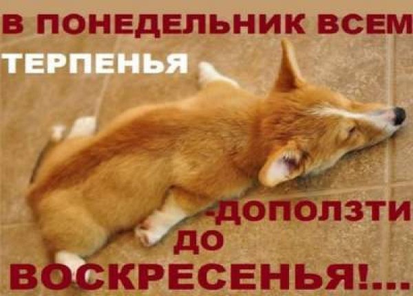 Понедельник