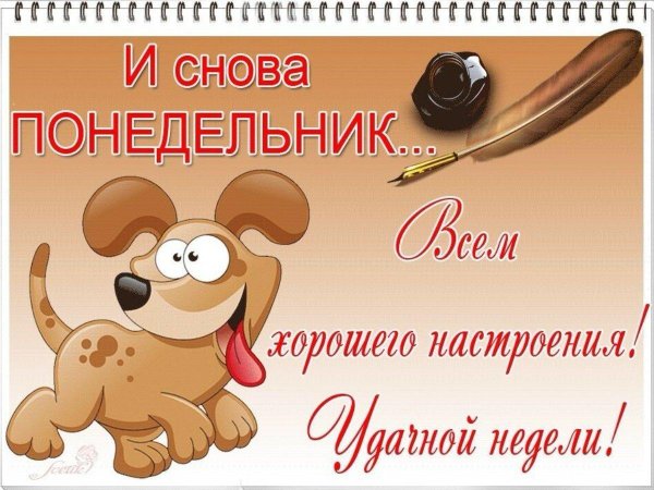 пожелание хорошего понедельника
