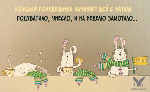 доброе утро понедельника смешные