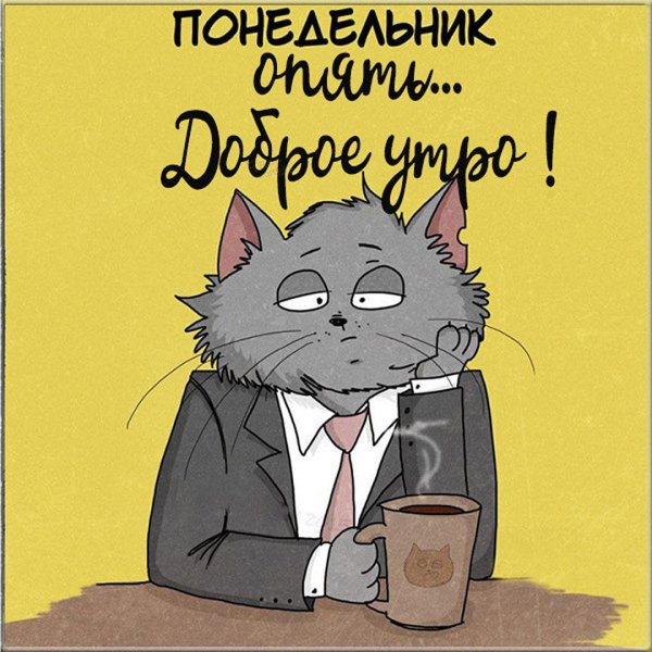 доброе утро понедельника котики