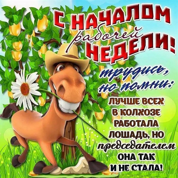 с началом рабочей недели