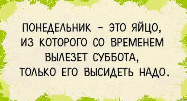 понедельник шутки