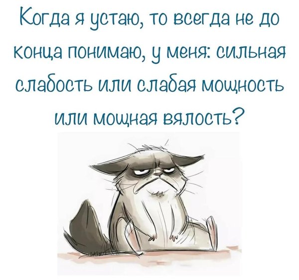 уставший котик рисунок