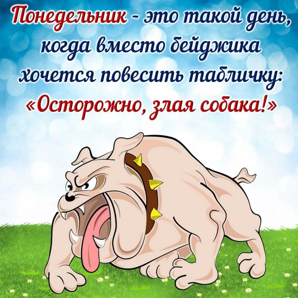 злые открытки понедельник