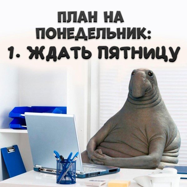 режим ждуна