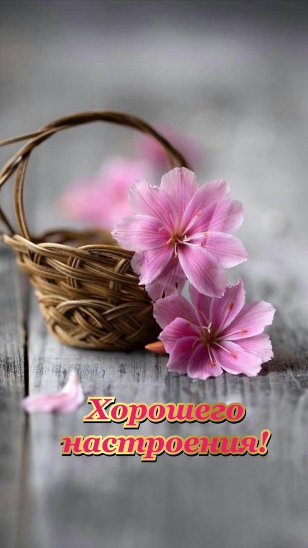 С добрым весенним утром красивые