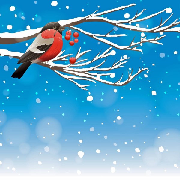 снегири рисунки