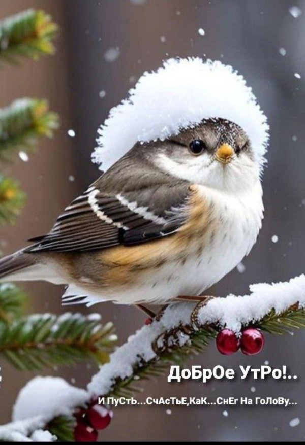 доброе утро зимнее новые