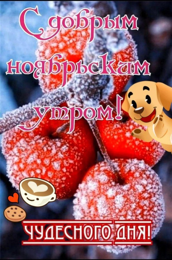 с добрым ноябрьским днем