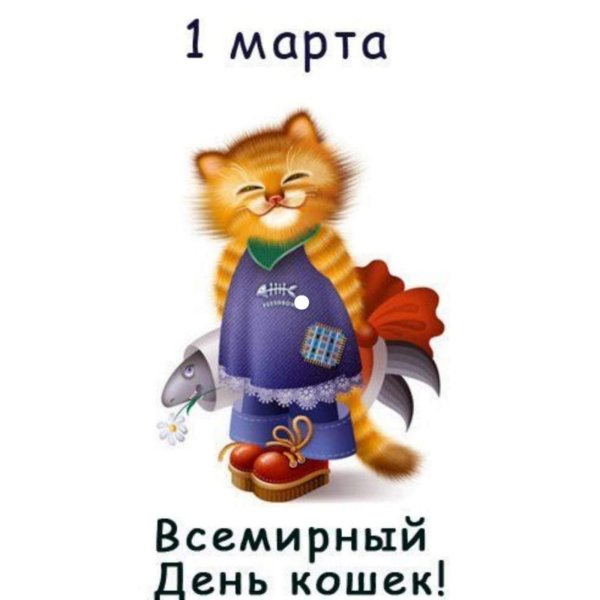 1 марта день кошек