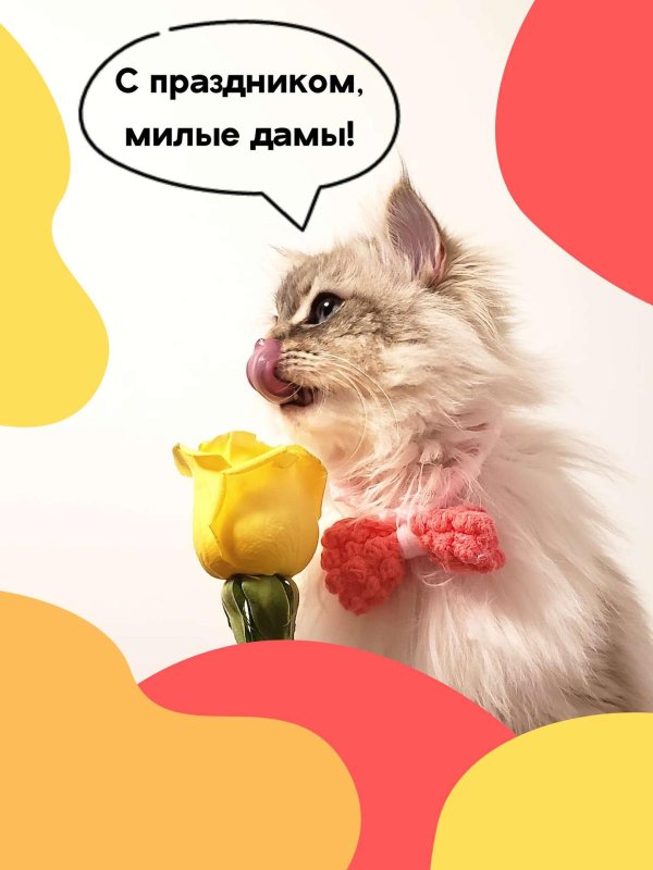 поздравить женщин с 8 марта