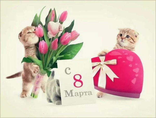 открытка на 8 марта котики