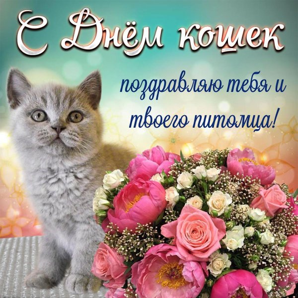 всемирный день кошек 1 марта
