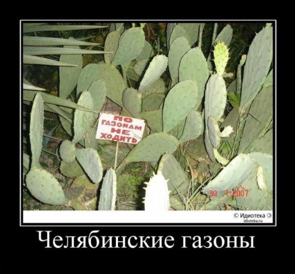 опунция абхазия