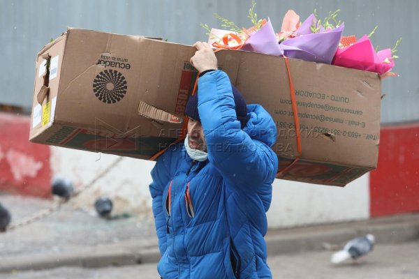 цветы на рижском рынке
